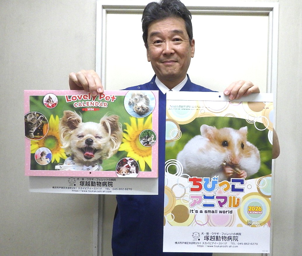 2026年のカレンダーが出来上がりました！